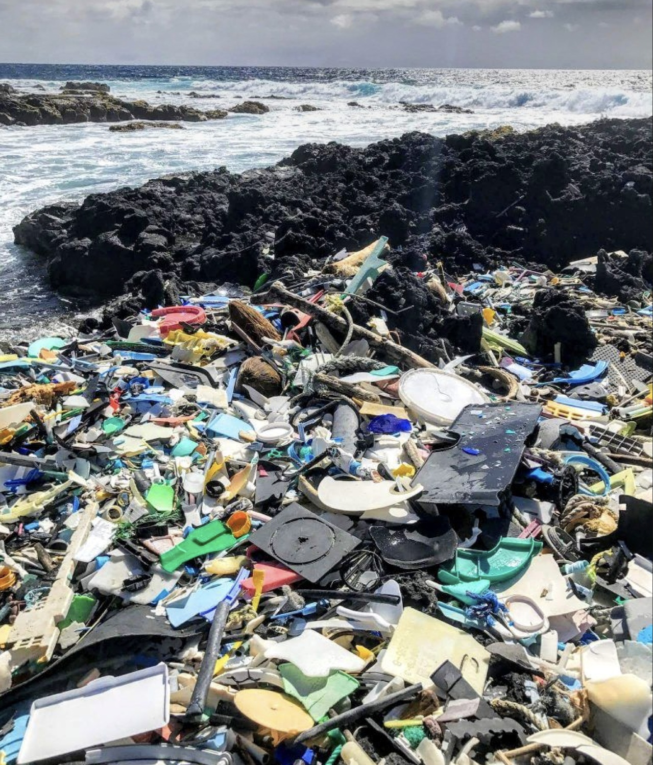 Trash piled up in a landfill.